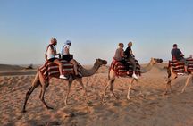 Evening Desert Safari in Dubai with Dune Bashing , Camel Ride and BBQ Dinner