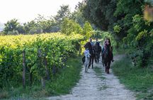 Horseback Riding Tour with Tuscan Picnic in Val d'Orcia and Valdichiana