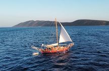 Full-Day Private Boat Cruise from Bodrum 