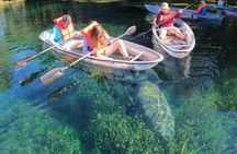 Clear Kayak Manatee Ecotour of Crystal River