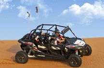 Evening desert safari with camel ride and BBQ dinner
