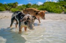 Crystal Bay Exuma Private Boat Tours & Fishing Charters