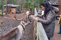 Reindeer Park Adventure (private service)