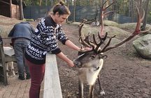 Reindeer Park Adventure (private service)