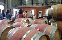 Full Day Winery Experience