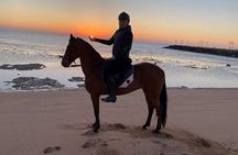 Horse Riding adventure and Two Hours Relaxation Turkish bath - Hurghada