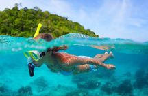 The beautiful East of Mauritius:incl Blue-Bay Marine Park, Crocodile park &Lunch