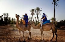 Camel Ride in the Palm Grove of Marrakech