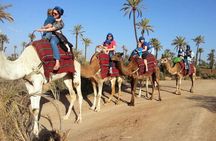 Camel Ride in the Palm Grove of Marrakech