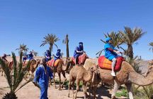 Camel Ride in the Palm Grove of Marrakech