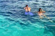 Ocean Elegance Dolphin Encounter and Ile Aux Benitiers Day Tour