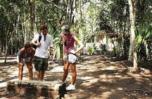 5x1 Deluxe Tour Tulum, Coba, Cenote Transportation from Tulum