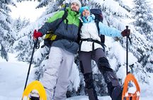 Snowshoeing In Vancouver's Winter Wonderland