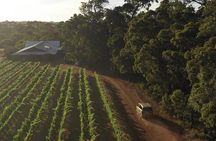 Full Day Winery Experience