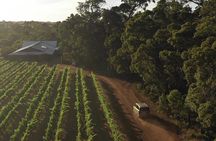 Secret Delights: Small-Group Curated Wine, Coffee, Lunch & Forest