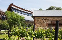 Ultimate Adelaide City and Hahndorf Tour