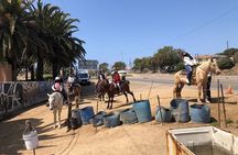 Horseback riding tour Mountains/Four-wheelers Rosarito Mountains 