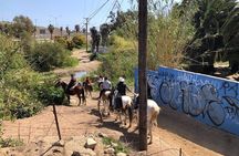 Horseback riding tour Mountains/Four-wheelers Rosarito Mountains 