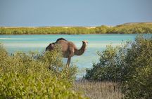 Wadi El Gamal Amazing Day Jeep Safari Full Day With Bedouin dinner - Marsa Alam