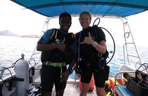  2 Tank (1 Day) Guided Diving for Certified Divers - Denarau Marina