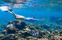 Reef Snorkeling with ATV, Zipline, Cenote that includes lunch and transportation