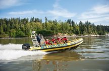 Vancouver Waterfront Sightseeing Zodiac Tour - City and Nature 