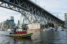 Vancouver Waterfront Sightseeing Tour - City and Waterfall 