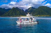 Half day Tahiti Peninsula and Teahupoo boat tour (shared boat)