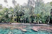 Half day Tahiti Peninsula and Teahupoo boat tour (shared boat)