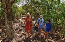 Adventure Power Boat Tour Antigua and Private Laviscount Island