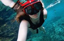 Casa Tortuga Eco Cenote Park+ Tulum Ruins! From Cancun & Playa Del Carmen