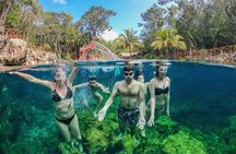 Explore Tulum and Swim in 4 cenotes (Casa Tortugas) from Tulum City