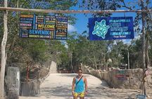 Eco Adventure Cenotes Casa Tortuga!+ Tulum Ruins From Cancun & Playa Del Carmen
