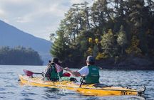 Guided Half Day Kayak Tour with Picnic in Villa la Angostura