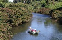 Private Sloth Encounter Waterfall And Corobici Floating Tour