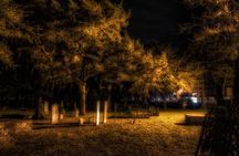 St. Augustine Haunted Pub Crawl