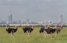 Nairobi national park and giraffe center