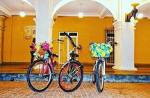 private bike tour