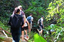 Small Group : Trekking Trip in Chiang Mai (Doi Suthep Area) with Market Tour