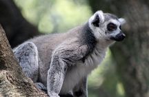 Private Hartbeespoort Dam and Magaliesberg Mountains Tour