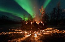 Northern Lights by Minibus. Photos Under the Lights included. Tromso