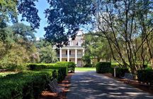 Full-Day Oak Alley Plantation & Airboat Swamp w/Transfer