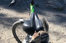 Guided Bike Tour on Historical Kettle Valley Railway at Myra Canyon & Wine Tour