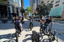 Electric Bike Guided City & Mural Tour
