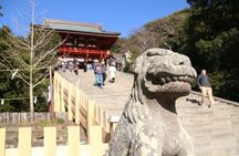 Kamakura Private walking tour (with local experience in option)