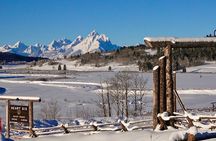 Jackson Hole Full-Day Dog Sledding and Snowmobiling Combo Trip 