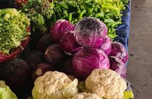 Farmers Market visit & Turkish Cooking Class