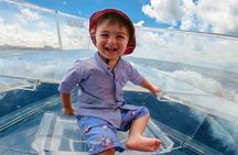 Cabo's Original Clear Boat Tour: See all of the tourist locations