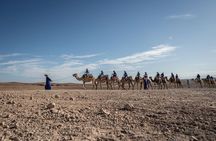 From Marrakech: Agafay Desert Camel Experience