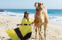Camel Encounter and Safari Ride. Includes lunch & alcohol tasting